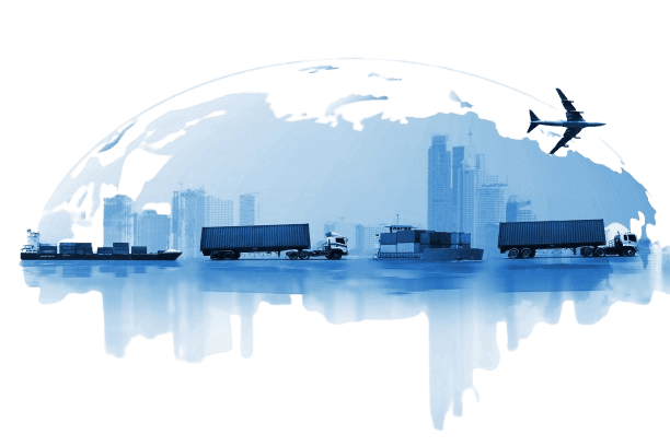 Supply Chain Network